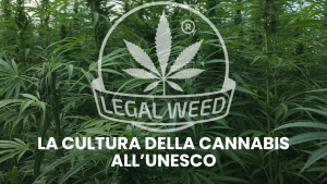 La cultura della cannabis all’UNESCO
