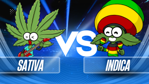 SATIVA VS INDICA BLOG LEGALWEED