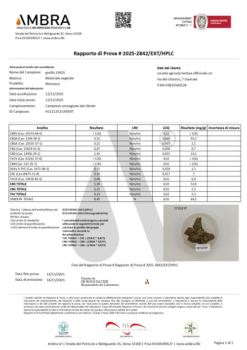 analisi gorilla cbd legalweed
