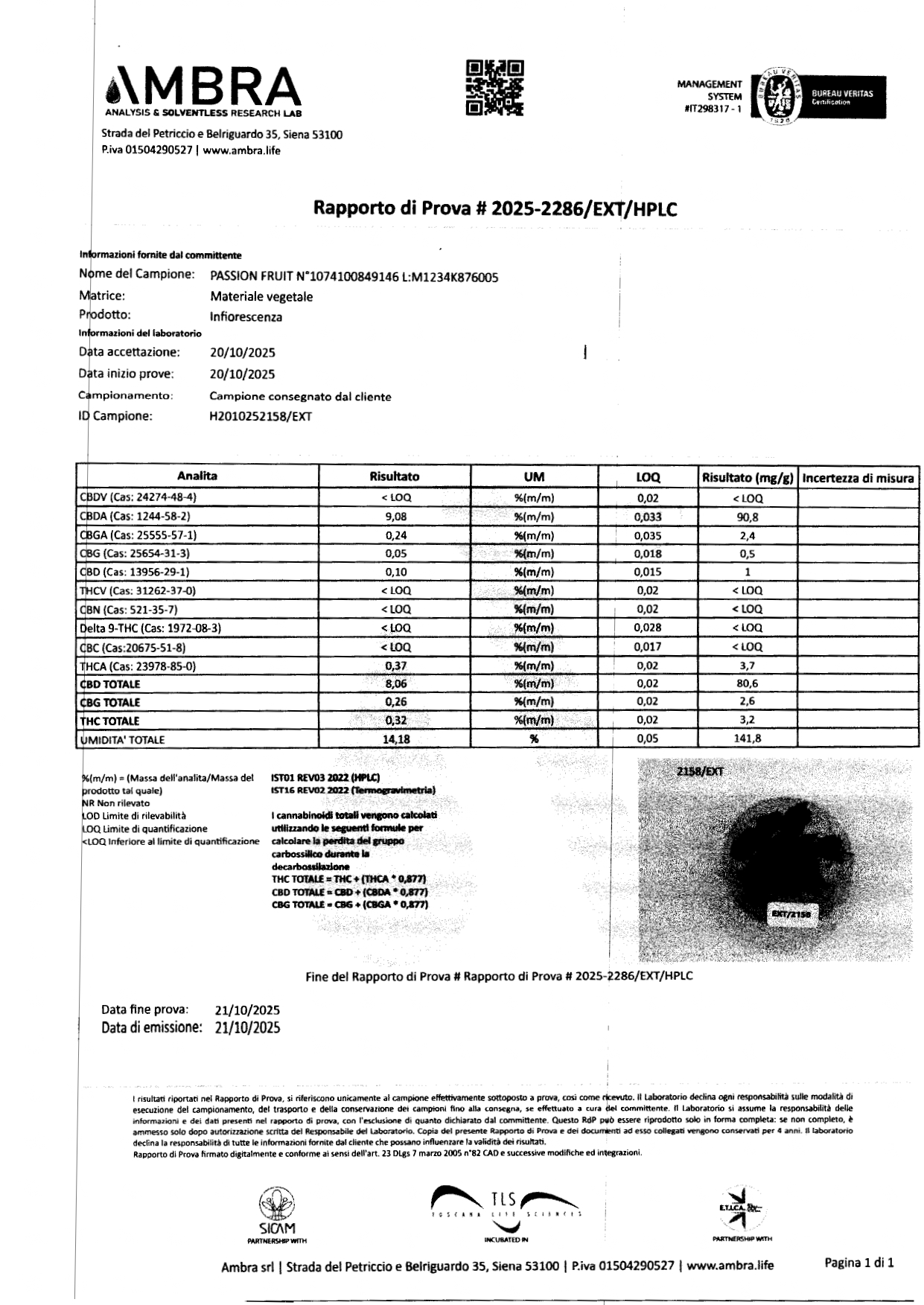analisi passion gorilla strwaberry page 0001