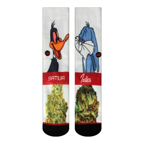 88103 LGZ Crew Sock Sativa vs Indica 1