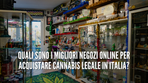 Quali sono i migliori negozi online per acquistare cannabis legale in Italia