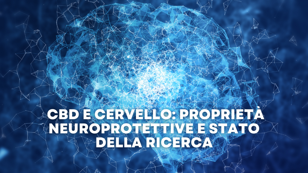 _CBD e Cervello Propriet&agrave; Neuroprotettive e Stato della Ricerca