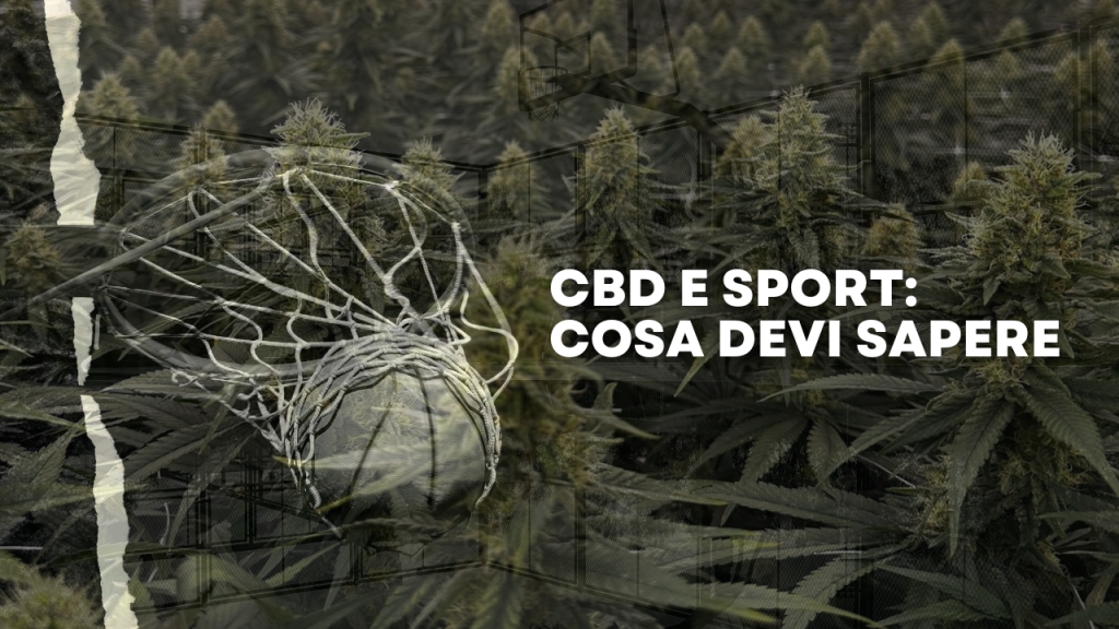 CBD e sport cosa devi sapere