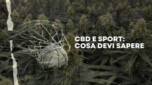 CBD e sport cosa devi sapere
