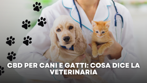 CBD per Cani e Gatti Cosa Dice la Veterinaria