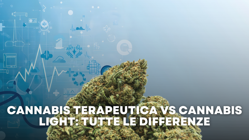 Cannabis Terapeutica vs Cannabis Light: Tutte le Differenze