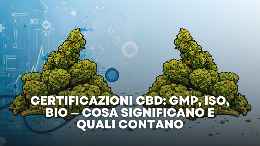 Certificazioni CBD GMP, ISO, Bio — Cosa Significano e Quali Contano