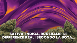 Sativa, Indica, Ruderalis Le Differenze Reali Secondo la Bota...