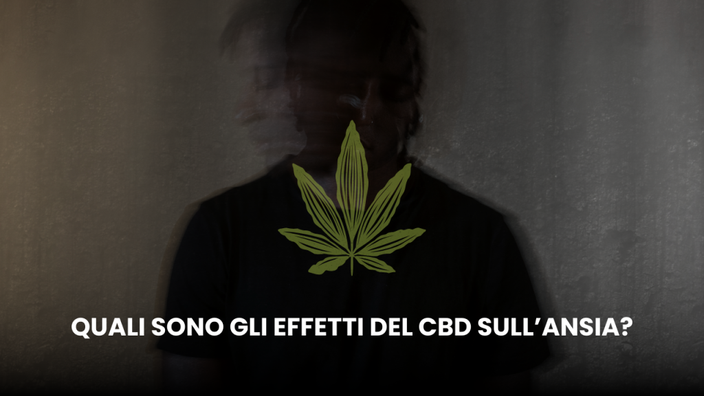 cbd e ansia la spiegazione di legalweed