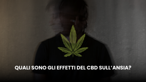 cbd e ansia la spiegazione di legalweed
