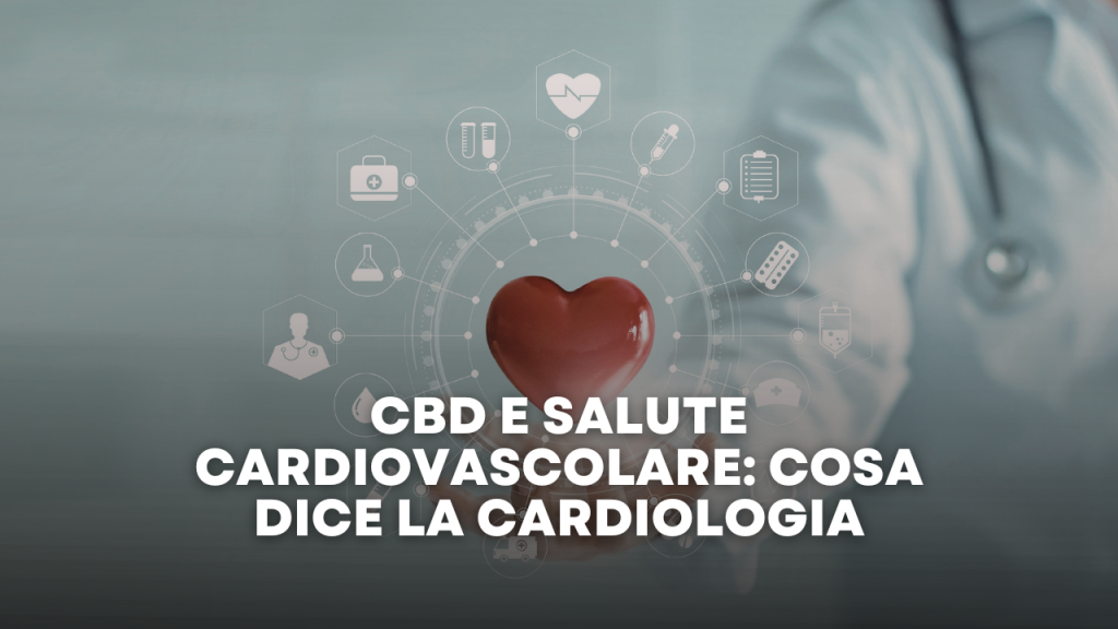 CBD e Salute Cardiovascolare Cosa Dice la Cardiologia