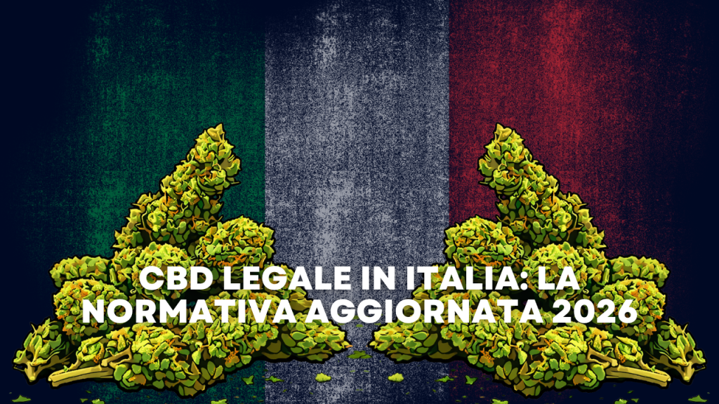 CBD legale in Italia la normativa aggiornata 2026