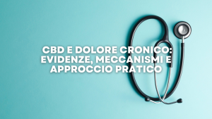 _CBD e Dolore Cronico Evidenze, Meccanismi e Approccio Pratico