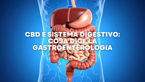 CBD e Sistema Digestivo Cosa Dice la Gastroenterologia