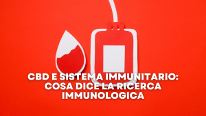 CBD e Sistema Immunitario Cosa Dice la Ricerca Immunologica