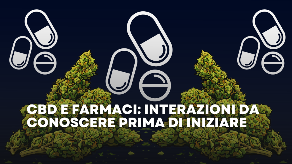 CBD e Farmaci Interazioni da Conoscere Prima di Iniziare
