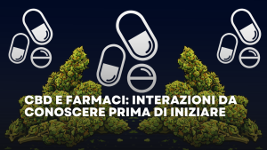 CBD e Farmaci Interazioni da Conoscere Prima di Iniziare