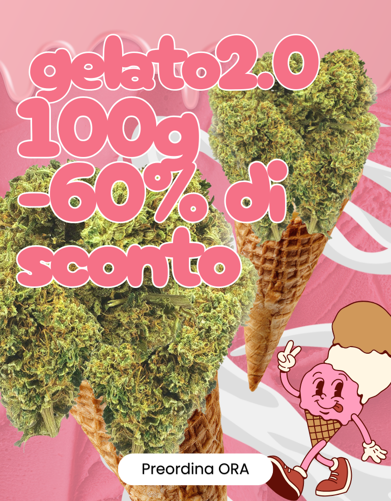 LEGAL WEED: Marijuana Legale, Cannabis, Erba e Hashish Light | CBD Shop Online THC | LegalWeed Italia