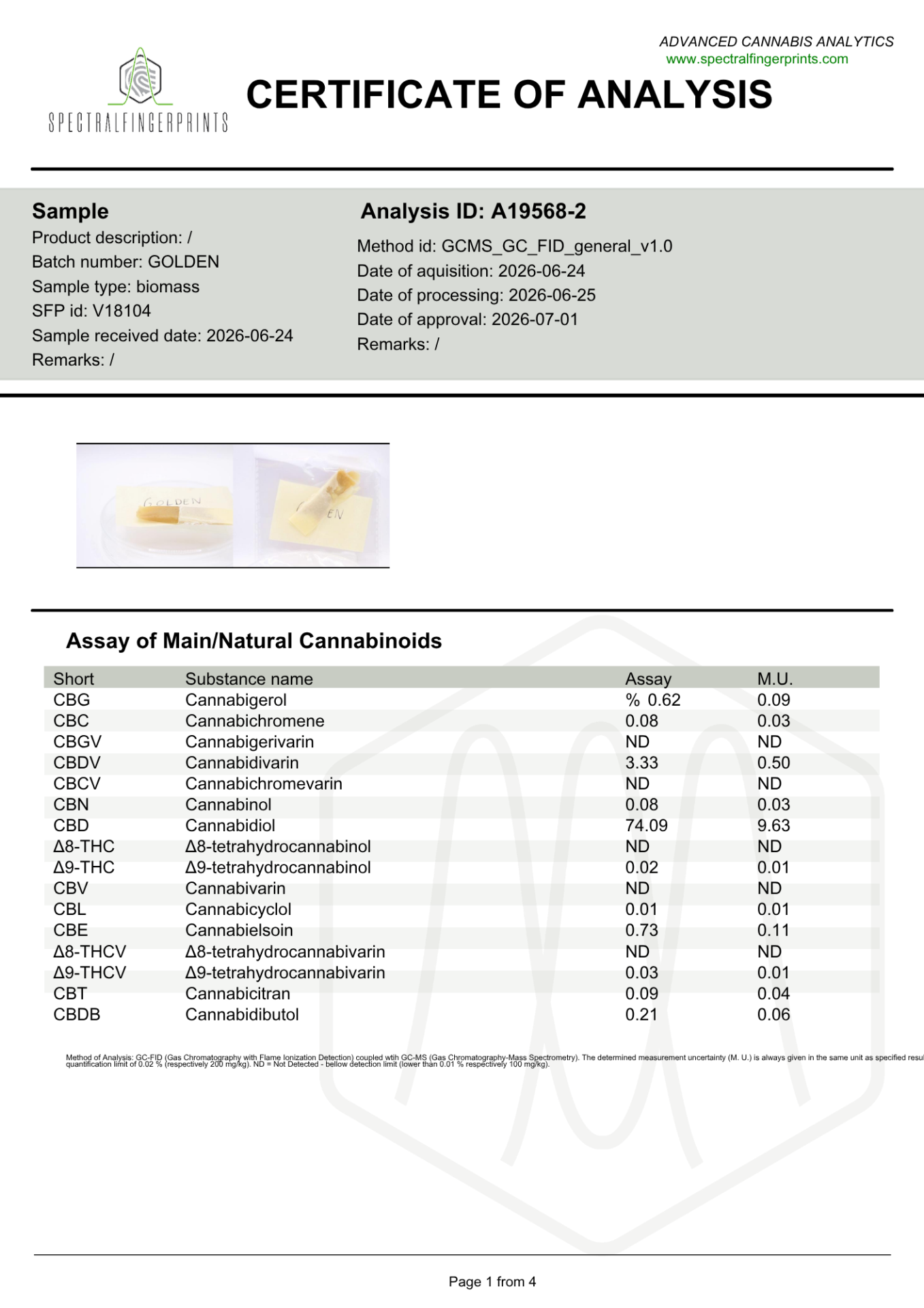 Golden hash CBD - immagine 3