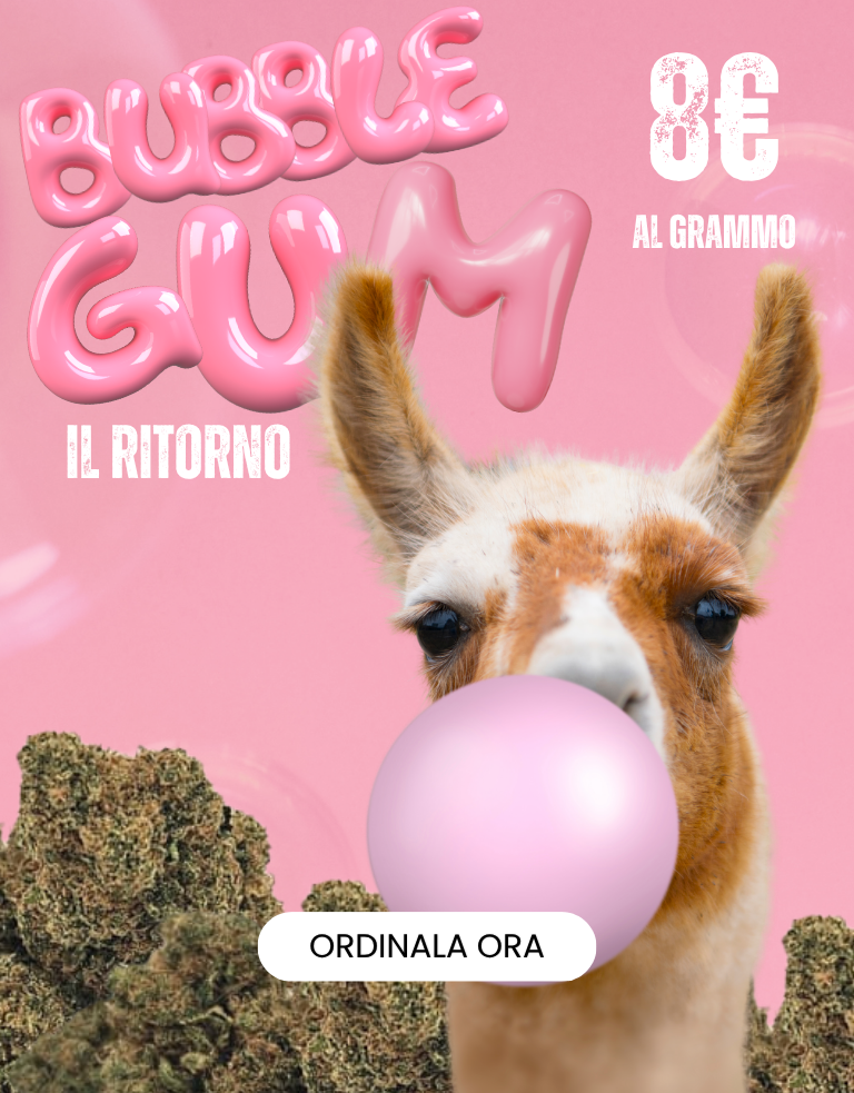 LEGAL WEED: Marijuana Legale, Cannabis, Erba e Hashish Light | CBD Shop Online THC | LegalWeed Italia