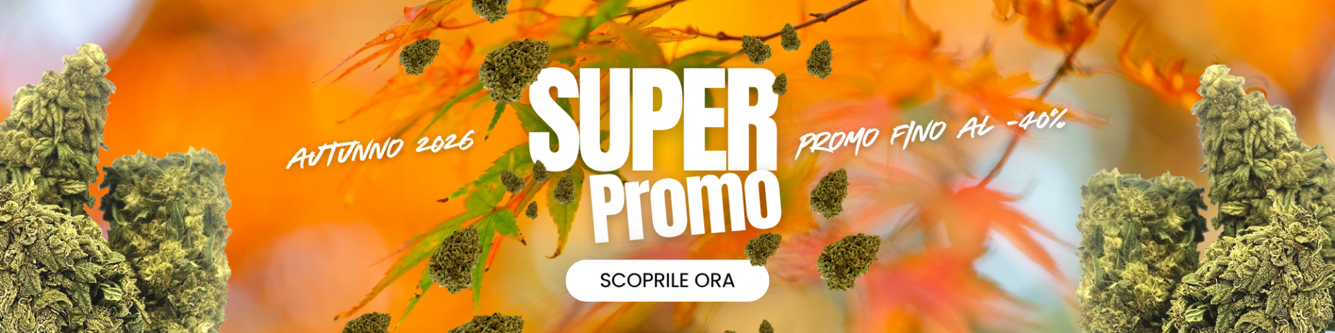 LEGAL WEED: Marijuana Legale, Cannabis, Erba e Hashish Light | CBD Shop Online THC | LegalWeed Italia