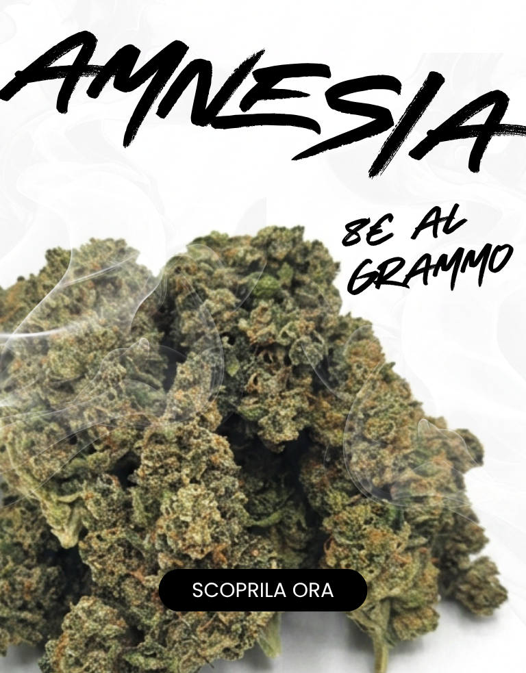 LEGAL WEED: Marijuana Legale, Cannabis, Erba e Hashish Light | CBD Shop Online THC | LegalWeed Italia