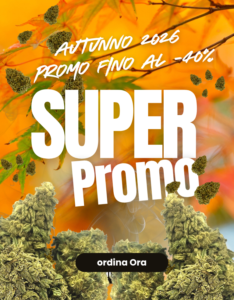 LEGAL WEED: Marijuana Legale, Cannabis, Erba e Hashish Light | CBD Shop Online THC | LegalWeed Italia
