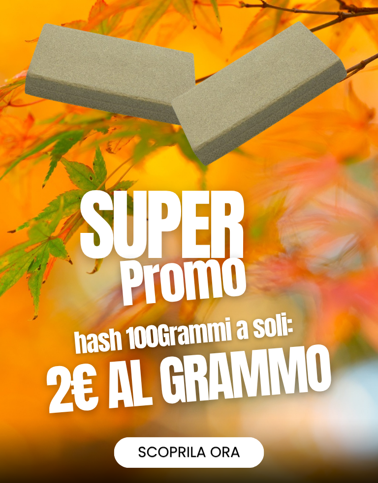 LEGAL WEED: Marijuana Legale, Cannabis, Erba e Hashish Light | CBD Shop Online THC | LegalWeed Italia