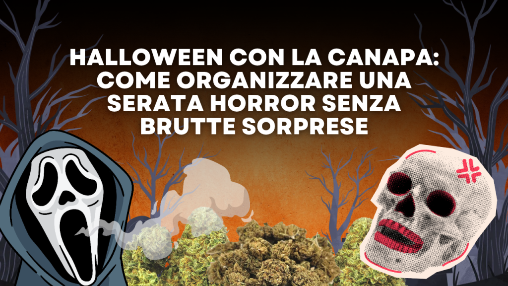 Halloween con la canapa: come organizzare una serata horror senza brutte sorprese