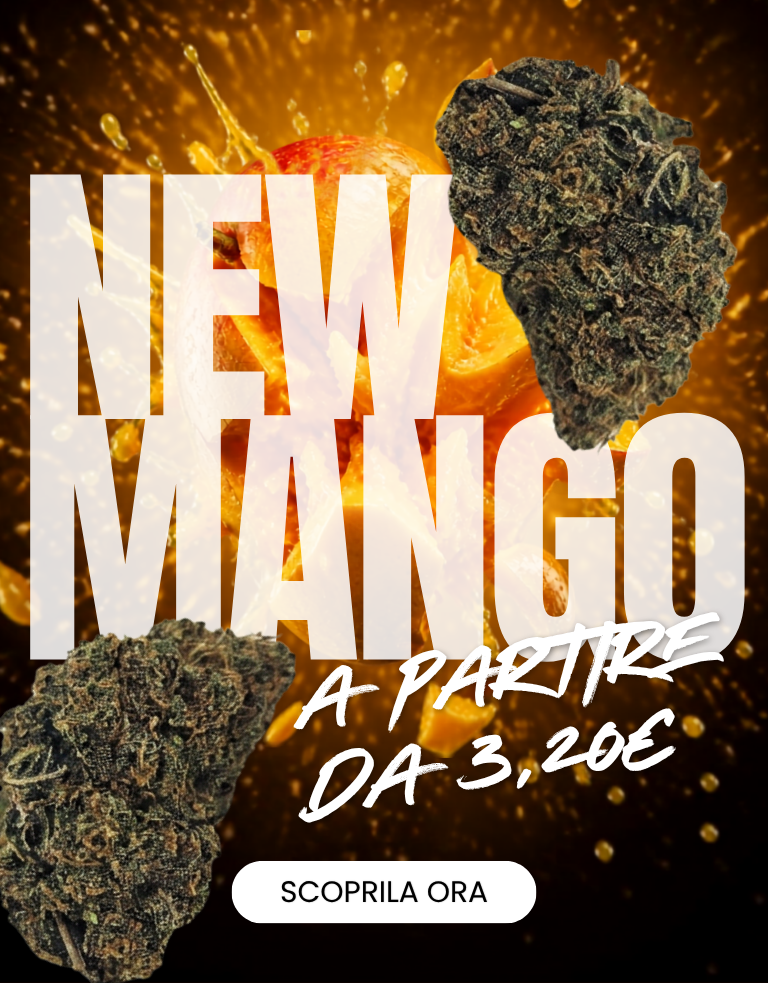 LEGAL WEED: Marijuana Legale, Cannabis, Erba e Hashish Light | CBD Shop Online THC | LegalWeed Italia