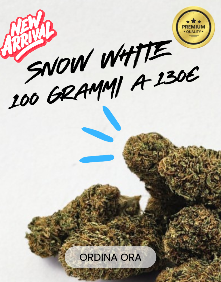 LEGAL WEED: Marijuana Legale, Cannabis, Erba e Hashish Light | CBD Shop Online THC | LegalWeed Italia
